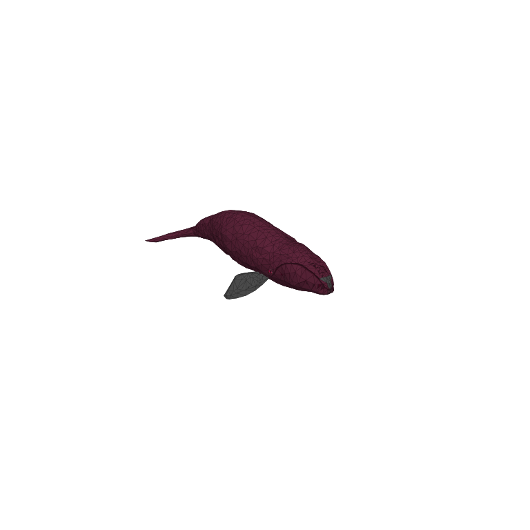 Bowhead Whale in How to Fish
