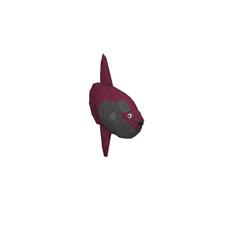 Sunfish in How to Fish