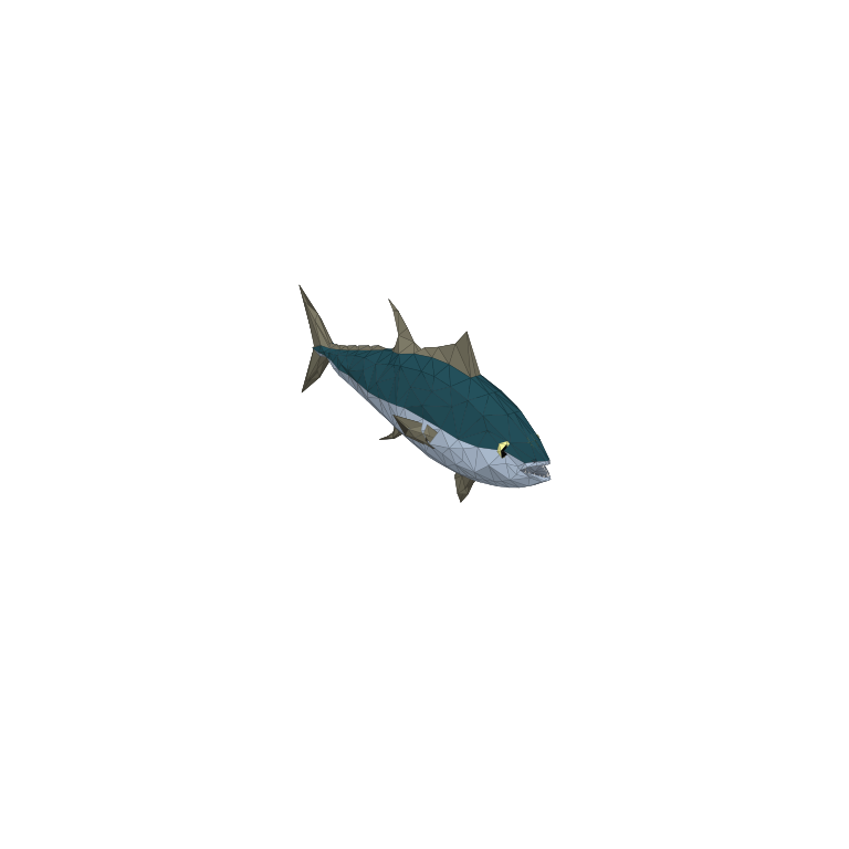 Tuna in How to Fish