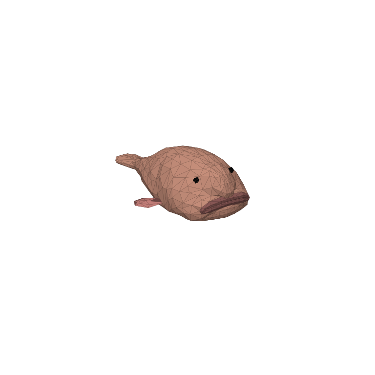 Blobfish in How to Fish