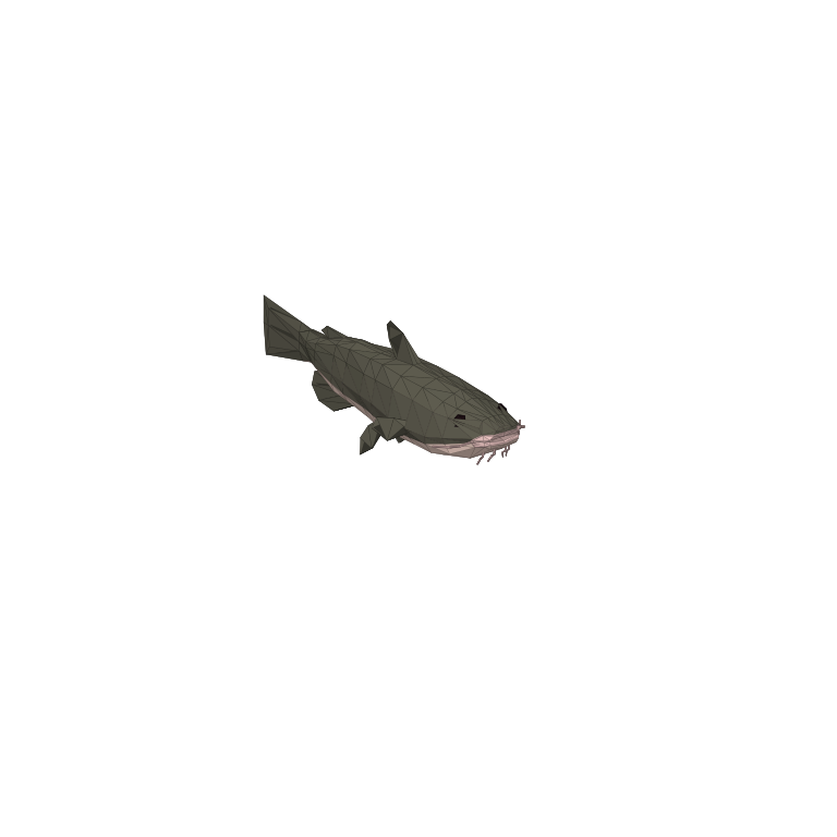 Catfish in How to Fish