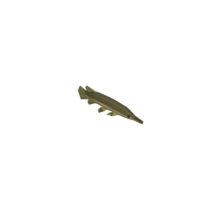 Gar in How to Fish