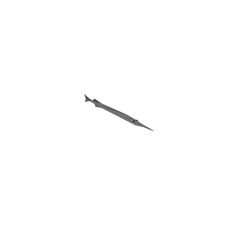Needlefish in How to Fish