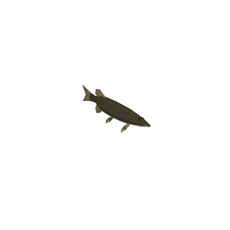 Pike in How to Fish