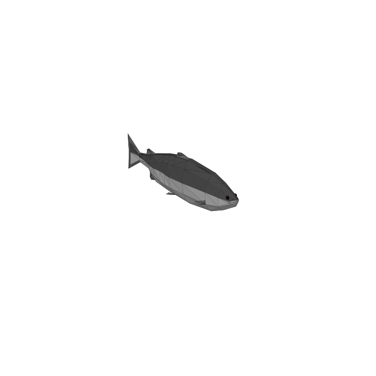 Salmon in How to Fish